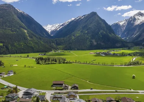0047 NK Veenroos zomer nieuw 19