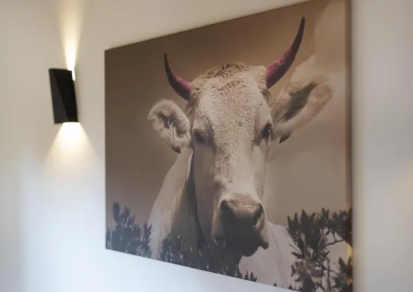 0010 HK Wintersonne 8