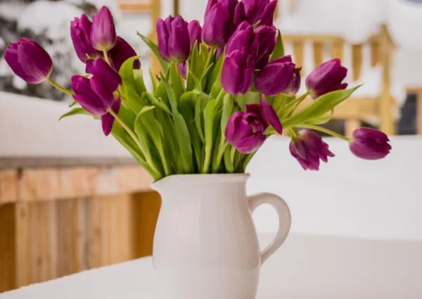 Chalet Zillertal Arena 1 30