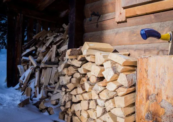 0046 HK ZA2 winter 14