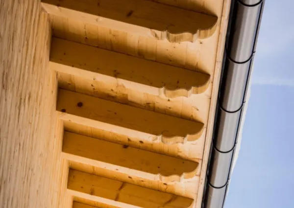 Chalet Zillertal Arena 3 49