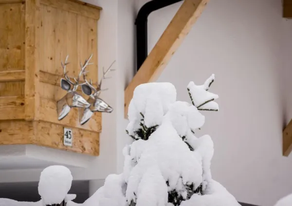 0046 HK ZA3 winter 13