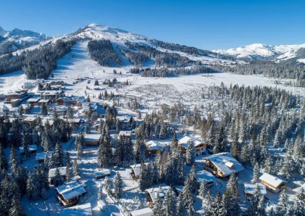 0050 HK ZA1 winter 15