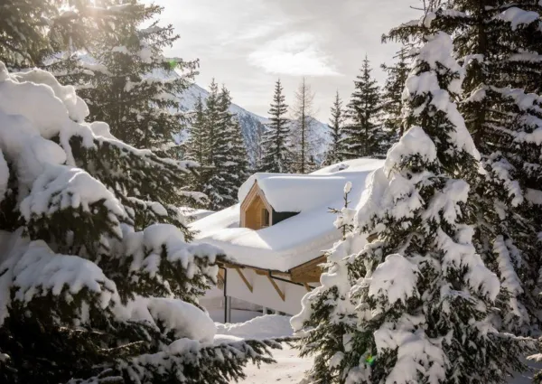 0046 HK Z Axl winter 3