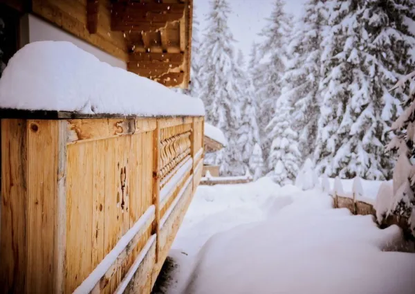 0050 HK Z Axl winter 7