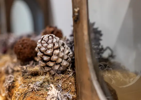 Hinterthal Lodge D1 detail 3