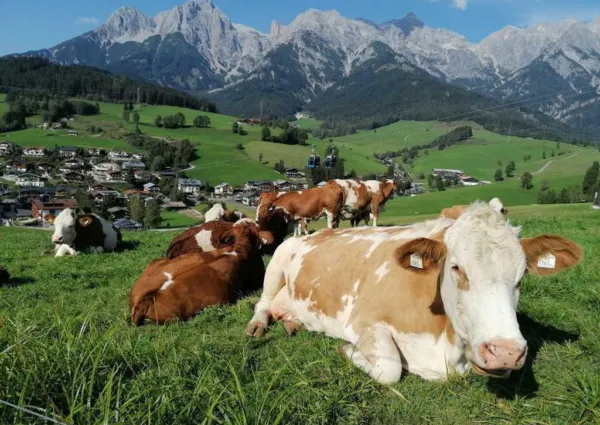 0025 HT Hinterthal D10 zomer 3