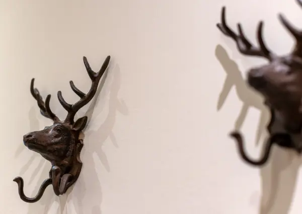 Hinterthal Lodge D2 detail 1