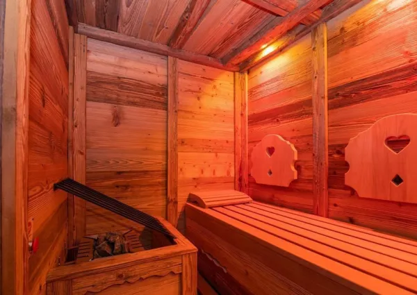 0020 HK Falkensteinalm Top 3 sauna 2