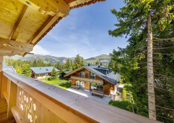 0024 HK Falkensteinalm top1 2023 Zomer 5