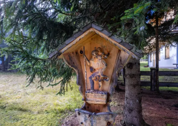 Hochkrimml Falkenstein Dahoam zomer beeld tuin