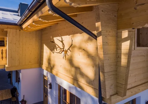 0014 HK Falkensteinalm detail 3