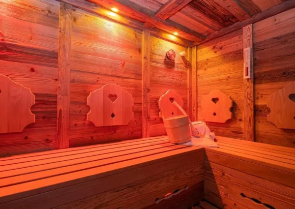 0012 HK Falkensteinalm Top 1 2 sauna 3