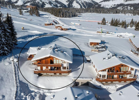 0001 Filzs225 drone 1