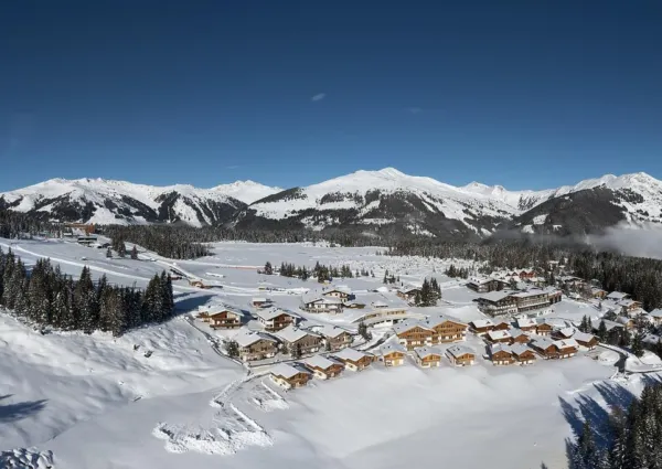 0025 Gans den Berg 203