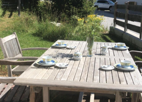 0011 HKR Gans 2 zomer 4