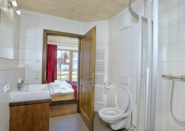 0012 BB Nadelbaum 12