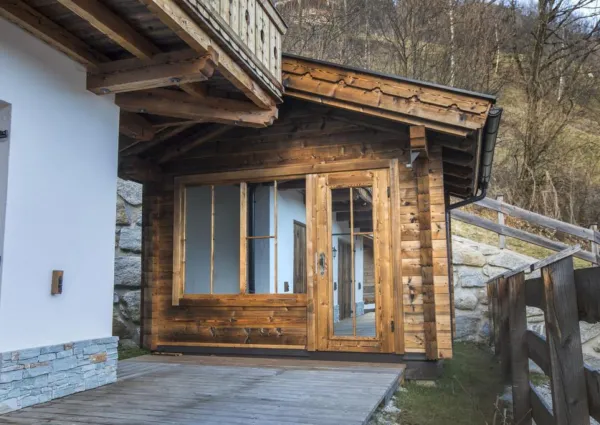 0016 BB Nadelbaum 16