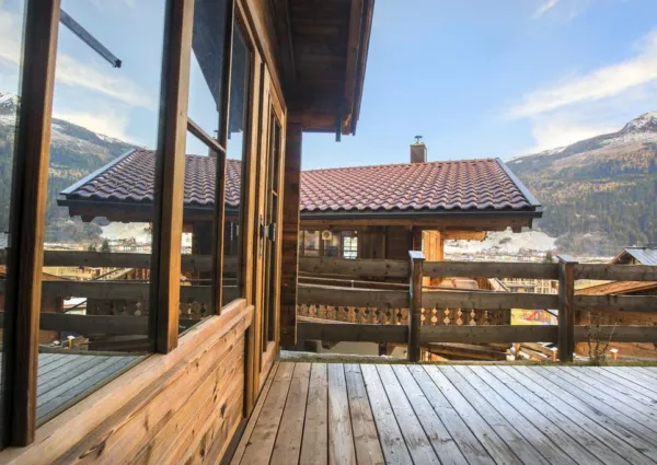 0017 BB Nadelbaum 17