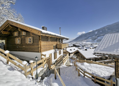 0001 BB Nadelbaum winter 1