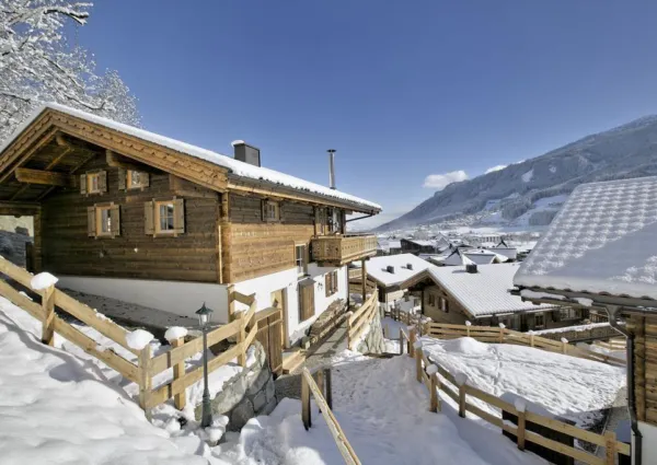 0001 BB Nadelbaum winter 1