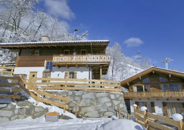 0025 BB Nadelbaum winter 9