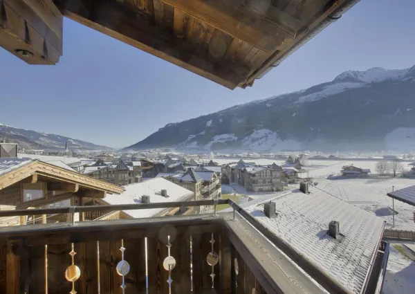 0026 BB Nadelbaum winter 4