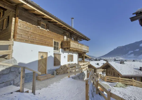 0027 BB Nadelbaum winter 5