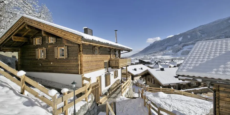 0001 BB Nadelbaum winter 1