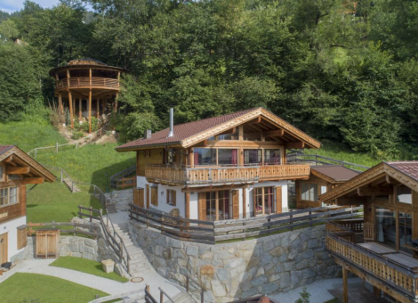 0002 BB Nadelbaum zomer 1a