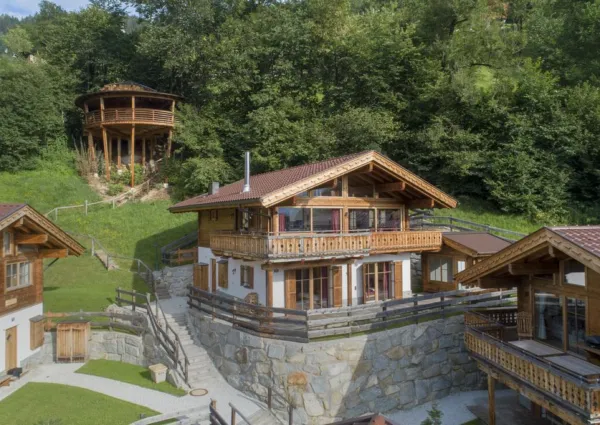 0002 BB Nadelbaum zomer 1a