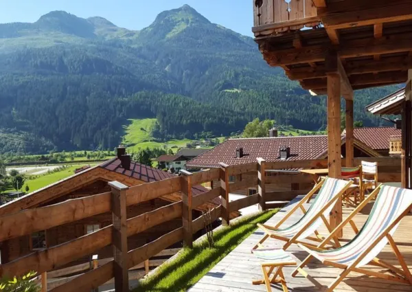 0019 BB Nadelbaum zomer 4