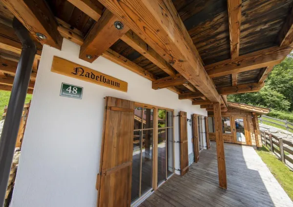 0021 BB Nadelbaum zomer 3a