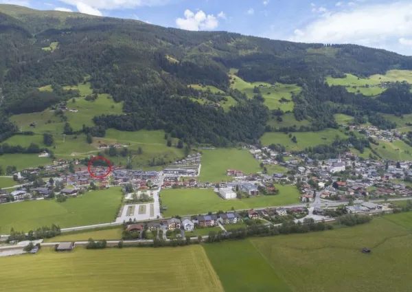 0023 BB Nadelbaum zomer 6a