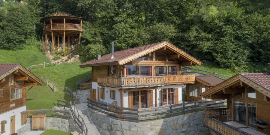 0002 BB Nadelbaum zomer 1a