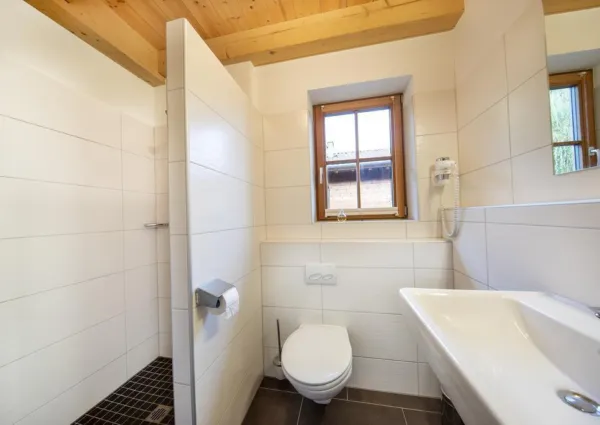 0015 BB Pinzghaus 13