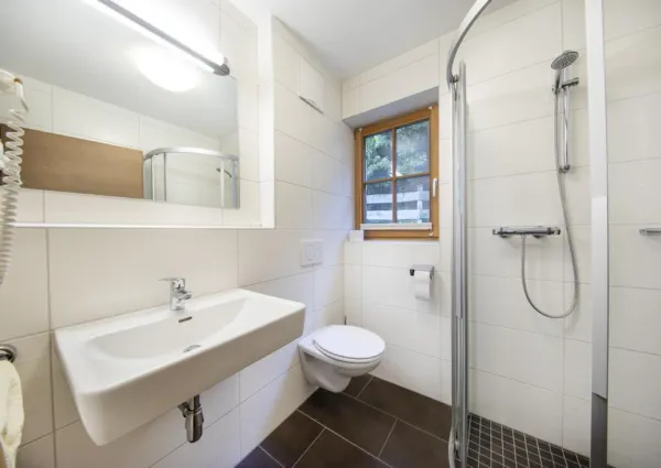 0021 BB Pinzghaus 21