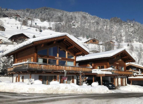 0033 BB Pinzghaus winter 1