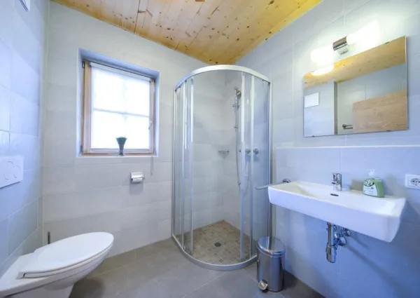 0012 BB Alpenrose 12