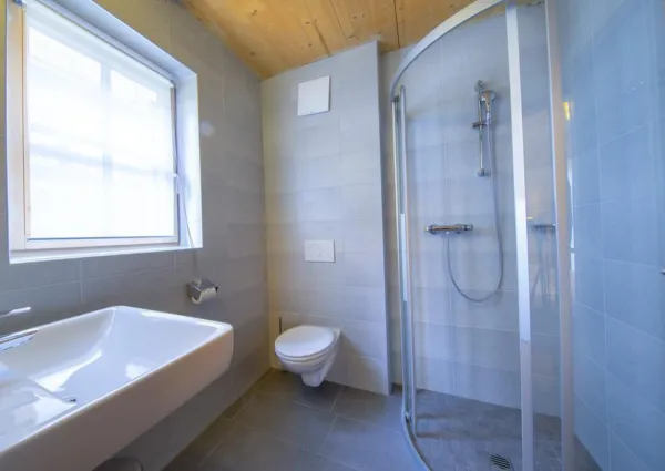 0017 BB Alpenrose 17