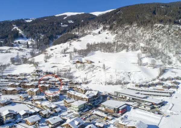 0028 BB Alpenrose winter 10