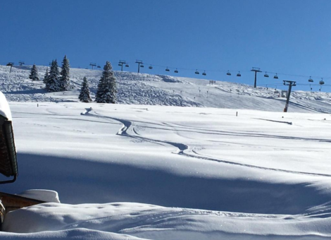 0020 HK Anna winter 2