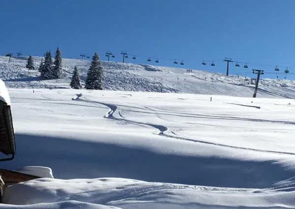 0020 HK Anna winter 2