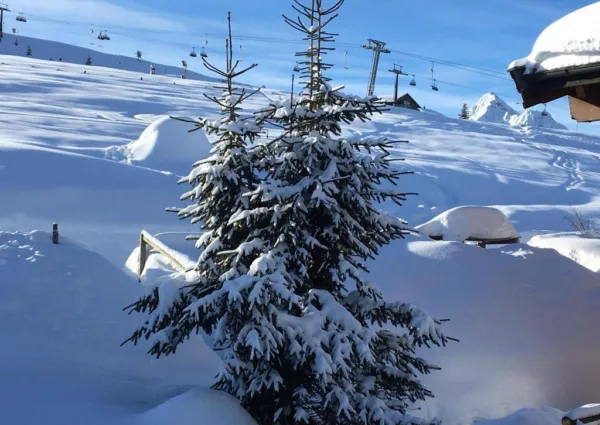 0021 HK Anna winter 3