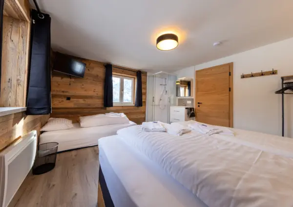 Haus Eckhausl Top 3 Gems Bramberg slaapkamer met douche en tv