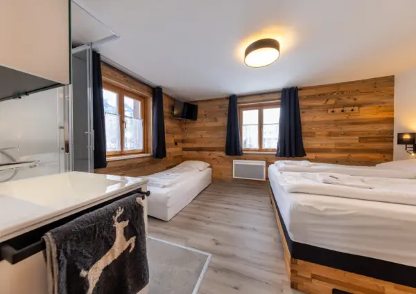 Haus Eckhausl Top 3 Gems Bramberg slaapkamer met wasbak en douche