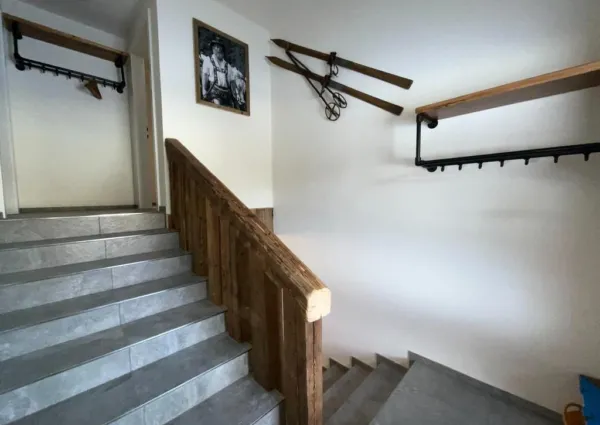 0016 BB Steinbock hal