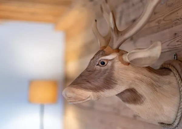 HK Everest 2024 detail 5