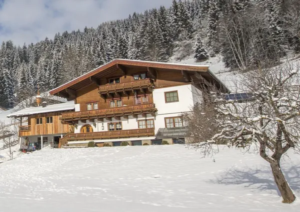 0031 BB Rendl winter 2