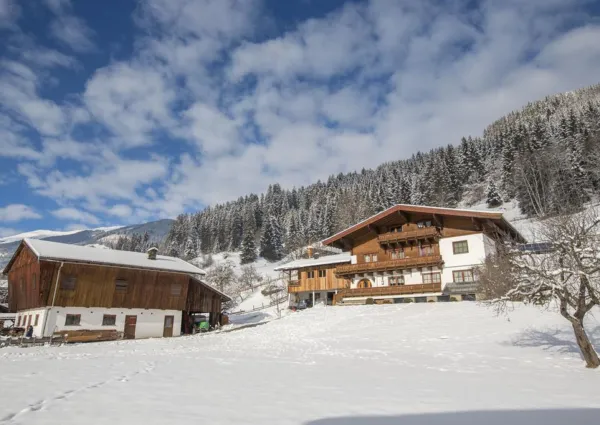 0032 BB Rendl winter 3